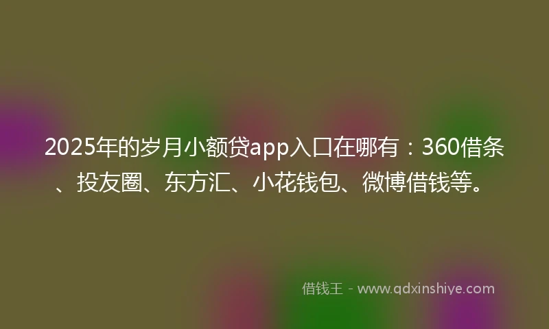 2025年的岁月小额贷app入口在哪有：360借条、投友圈、东方汇、小花钱包、微博借钱等。