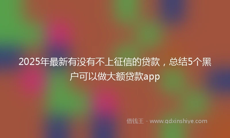 2025年最新有没有不上征信的贷款，总结5个黑户可以做大额贷款app