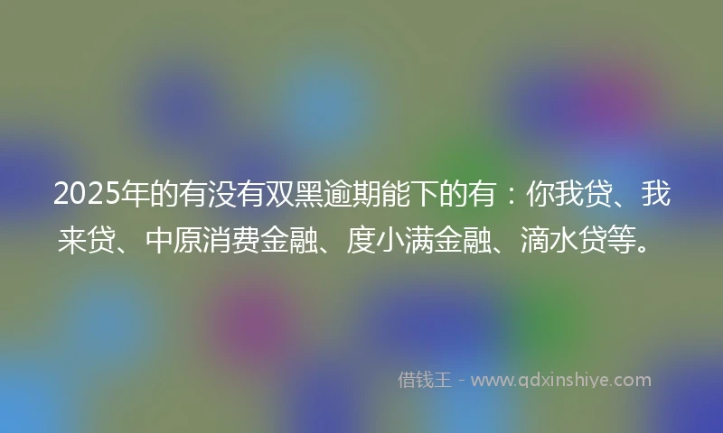 2025年的有没有双黑逾期能下的有：你我贷、我来贷、中原消费金融、度小满金融、滴水贷等。