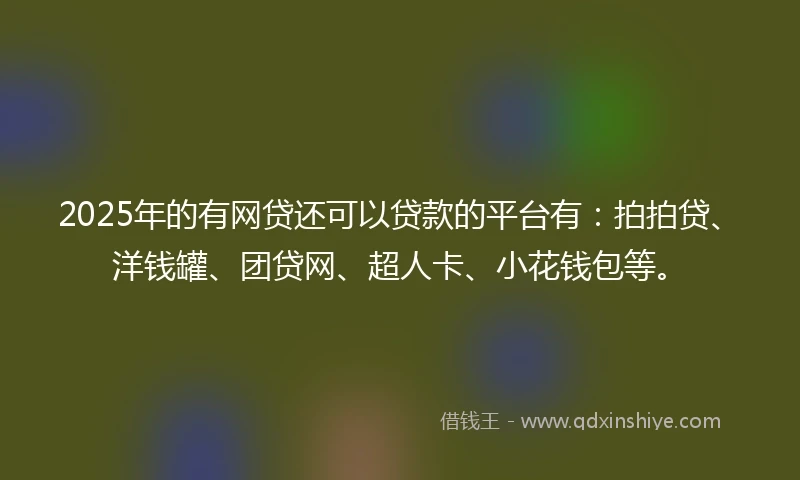 2025年的有网贷还可以贷款的平台有：拍拍贷、洋钱罐、团贷网、超人卡、小花钱包等。
