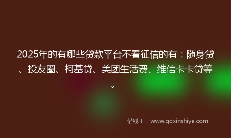 2025年的有哪些贷款平台不看征信的有：随身贷、投友圈、柯基贷、美团生活费、维信卡卡贷等。