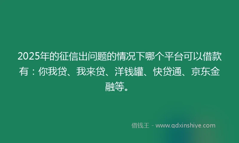 2025年的征信出问题的情况下哪个平台可以借款有：你我贷、我来贷、洋钱罐、快贷通、京东金融等。