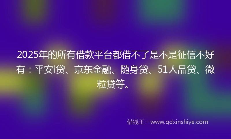 2025年的所有借款平台都借不了是不是征信不好有：平安i贷、京东金融、随身贷、51人品贷、微粒贷等。