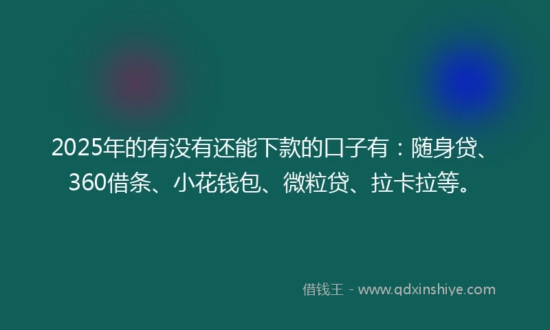 2025年的有没有还能下款的口子有：随身贷、360借条、小花钱包、微粒贷、拉卡拉等。
