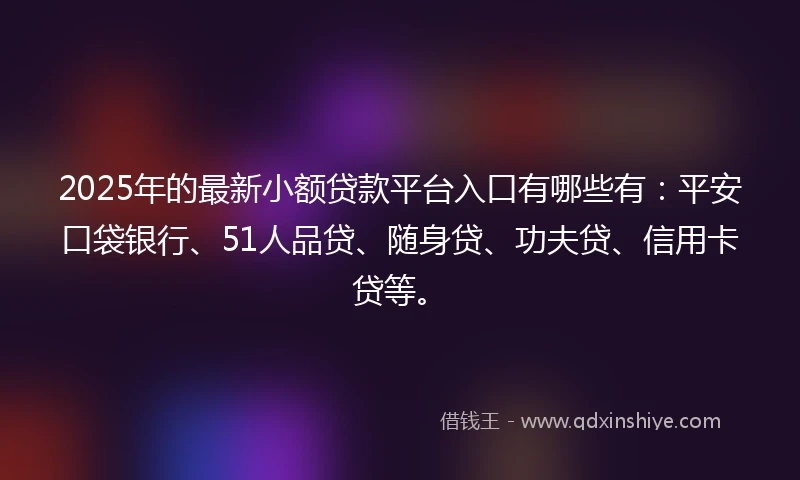 2025年的最新小额贷款平台入口有哪些有：平安口袋银行、51人品贷、随身贷、功夫贷、信用卡贷等。