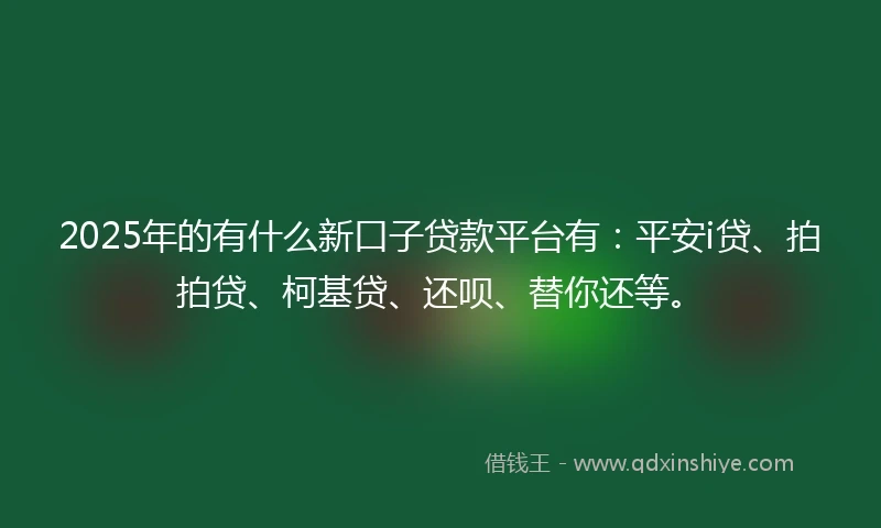 2025年的有什么新口子贷款平台有：平安i贷、拍拍贷、柯基贷、还呗、替你还等。