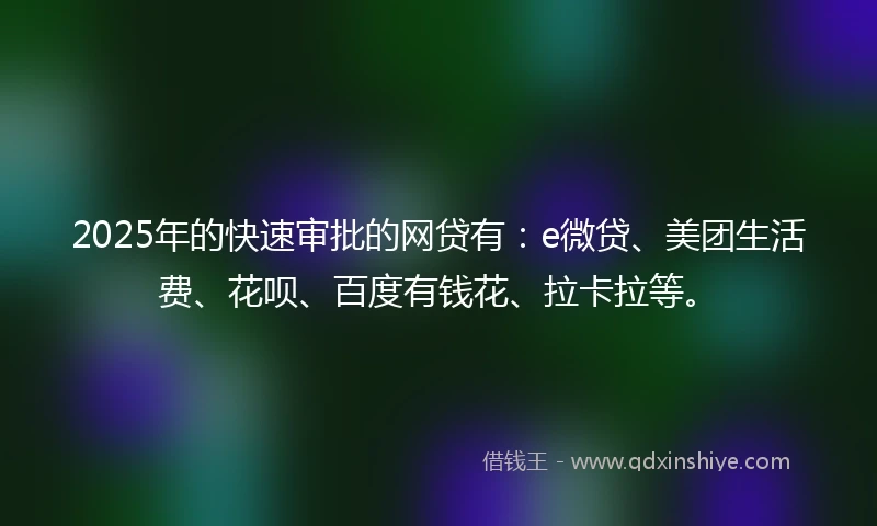 2025年的快速审批的网贷有：e微贷、美团生活费、花呗、百度有钱花、拉卡拉等。
