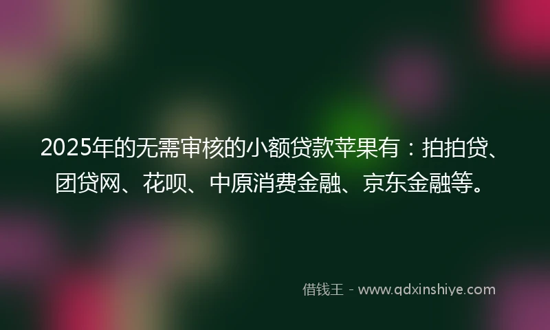 2025年的无需审核的小额贷款苹果有：拍拍贷、团贷网、花呗、中原消费金融、京东金融等。