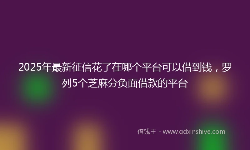 2025年最新征信花了在哪个平台可以借到钱，罗列5个芝麻分负面借款的平台