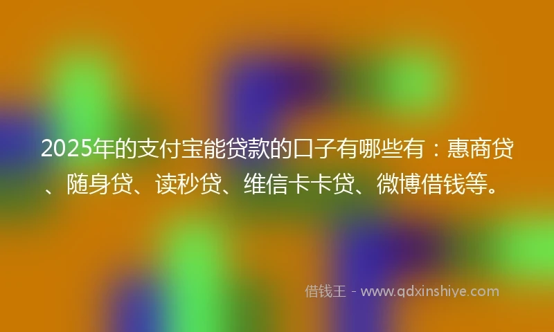 2025年的支付宝能贷款的口子有哪些有：惠商贷、随身贷、读秒贷、维信卡卡贷、微博借钱等。