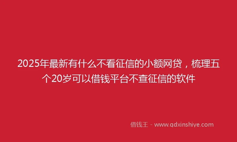 2025年最新有什么不看征信的小额网贷，梳理五个20岁可以借钱平台不查征信的软件