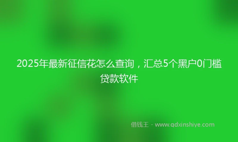 2025年最新征信花怎么查询，汇总5个黑户0门槛贷款软件