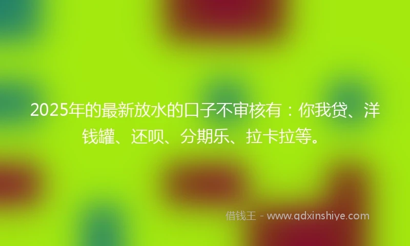 2025年的最新放水的口子不审核有：你我贷、洋钱罐、还呗、分期乐、拉卡拉等。