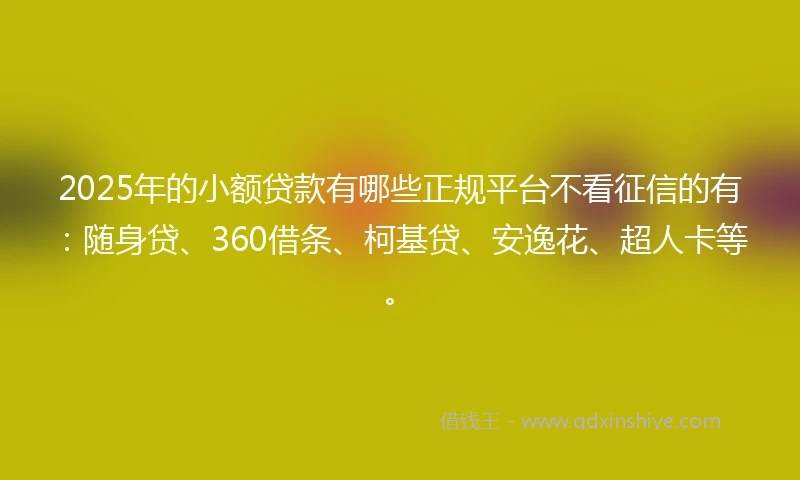 2025年的小额贷款有哪些正规平台不看征信的有：随身贷、360借条、柯基贷、安逸花、超人卡等。