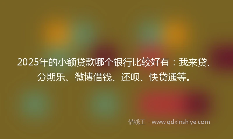 2025年的小额贷款哪个银行比较好有：我来贷、分期乐、微博借钱、还呗、快贷通等。