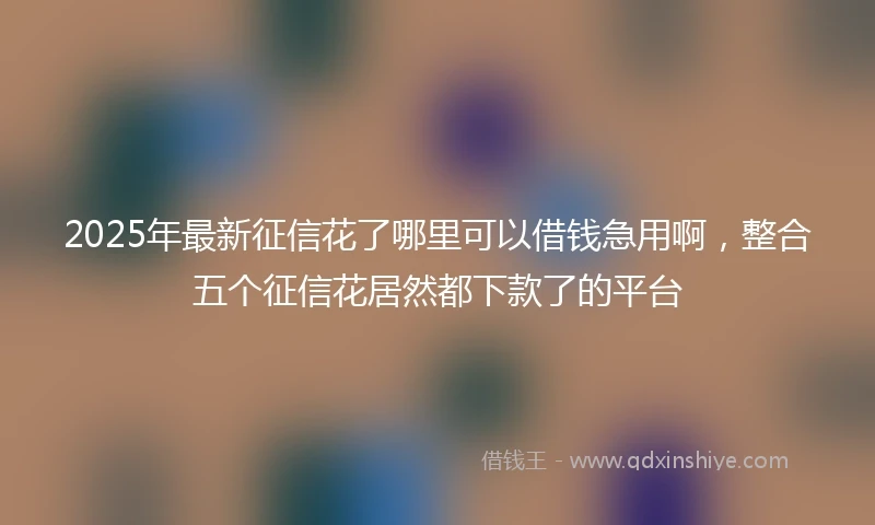 2025年最新征信花了哪里可以借钱急用啊，整合五个征信花居然都下款了的平台