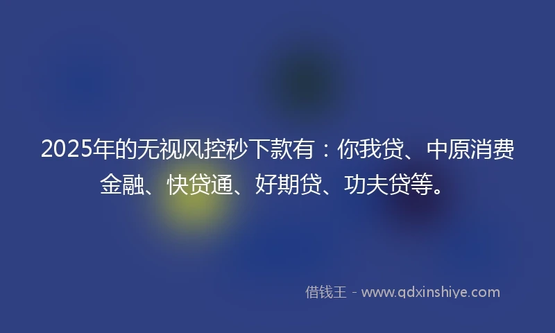 2025年的无视风控秒下款有：你我贷、中原消费金融、快贷通、好期贷、功夫贷等。
