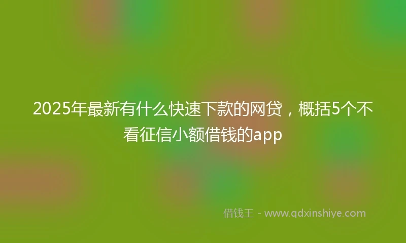 2025年最新有什么快速下款的网贷，概括5个不看征信小额借钱的app