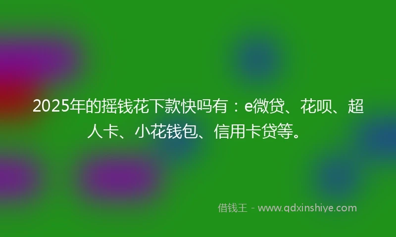 2025年的摇钱花下款快吗有：e微贷、花呗、超人卡、小花钱包、信用卡贷等。