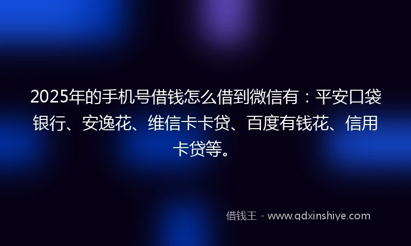 2025年的手机号借钱怎么借到微信有：平安口袋银行、安逸花、维信卡卡贷、百度有钱花、信用卡贷等。