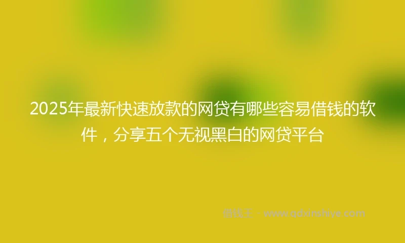 2025年最新快速放款的网贷有哪些容易借钱的软件，分享五个无视黑白的网贷平台