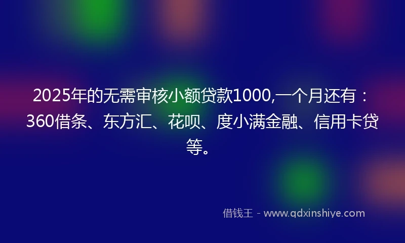 2025年的无需审核小额贷款1000,一个月还有：360借条、东方汇、花呗、度小满金融、信用卡贷等。