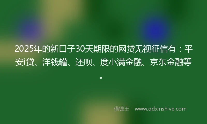 2025年的新口子30天期限的网贷无视征信有：平安i贷、洋钱罐、还呗、度小满金融、京东金融等。