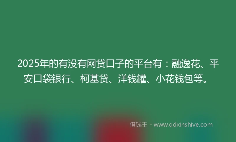 2025年的有没有网贷口子的平台有：融逸花、平安口袋银行、柯基贷、洋钱罐、小花钱包等。