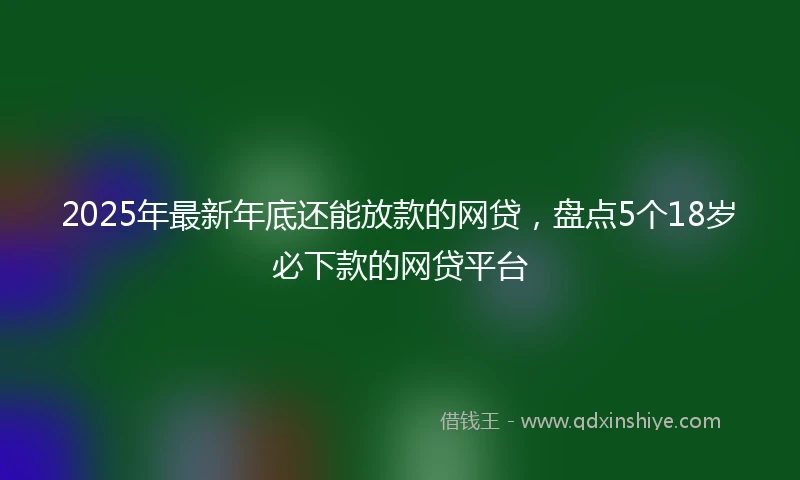 2025年最新年底还能放款的网贷，盘点5个18岁必下款的网贷平台