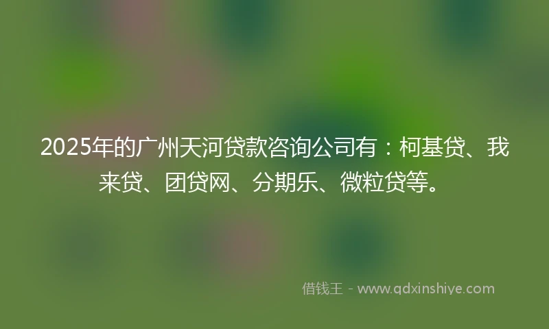 2025年的广州天河贷款咨询公司有：柯基贷、我来贷、团贷网、分期乐、微粒贷等。