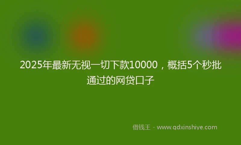 2025年最新无视一切下款10000，概括5个秒批通过的网贷口子