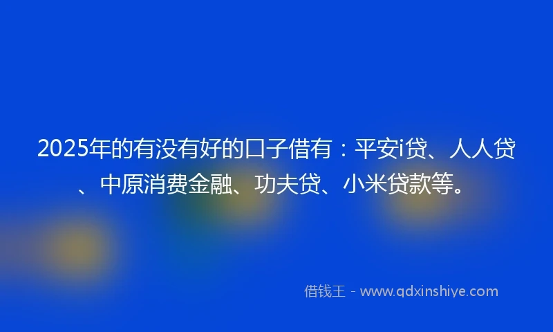 2025年的有没有好的口子借有：平安i贷、人人贷、中原消费金融、功夫贷、小米贷款等。