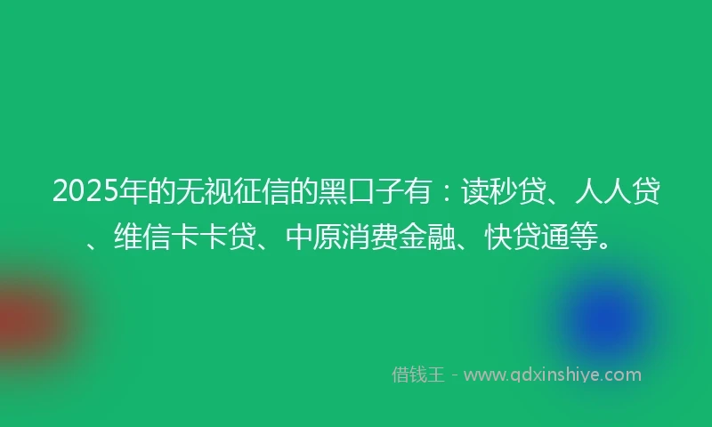 2025年的无视征信的黑口子有：读秒贷、人人贷、维信卡卡贷、中原消费金融、快贷通等。
