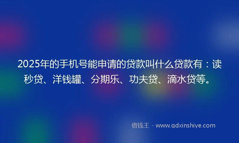 2025年的手机号能申请的贷款叫什么贷款有：读秒贷、洋钱罐、分期乐、功夫贷、滴水贷等。