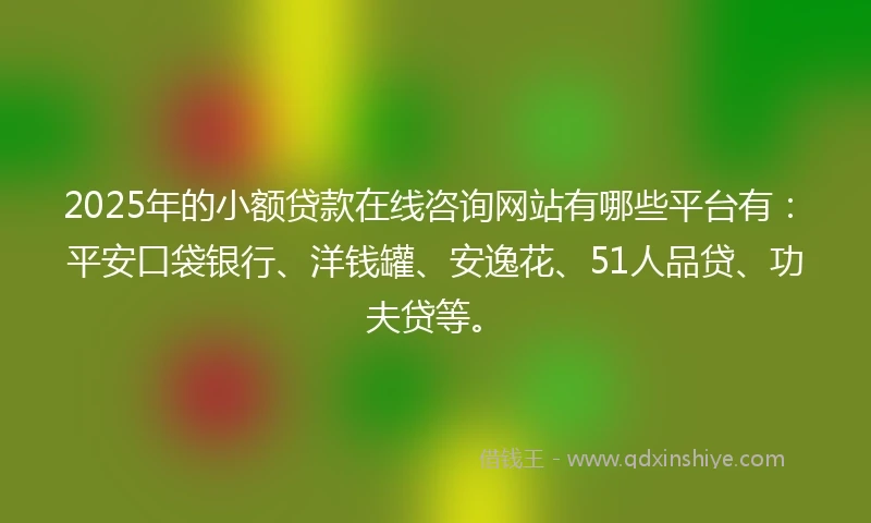 2025年的小额贷款在线咨询网站有哪些平台有：平安口袋银行、洋钱罐、安逸花、51人品贷、功夫贷等。