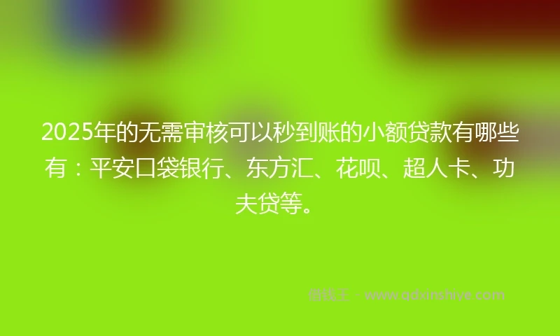 2025年的无需审核可以秒到账的小额贷款有哪些有：平安口袋银行、东方汇、花呗、超人卡、功夫贷等。