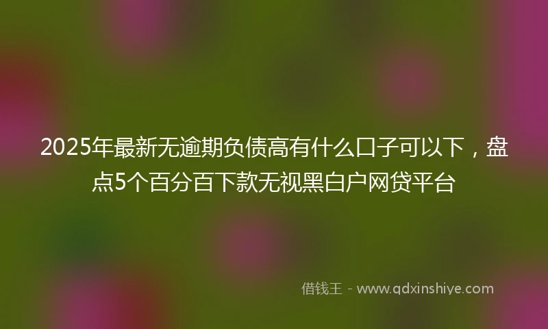 2025年最新无逾期负债高有什么口子可以下，盘点5个百分百下款无视黑白户网贷平台