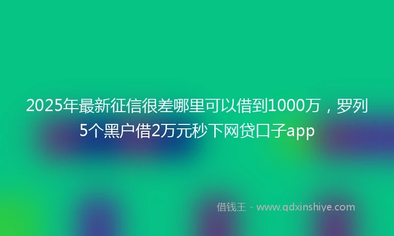 2025年最新征信很差哪里可以借到1000万，罗列5个黑户借2万元秒下网贷口子app