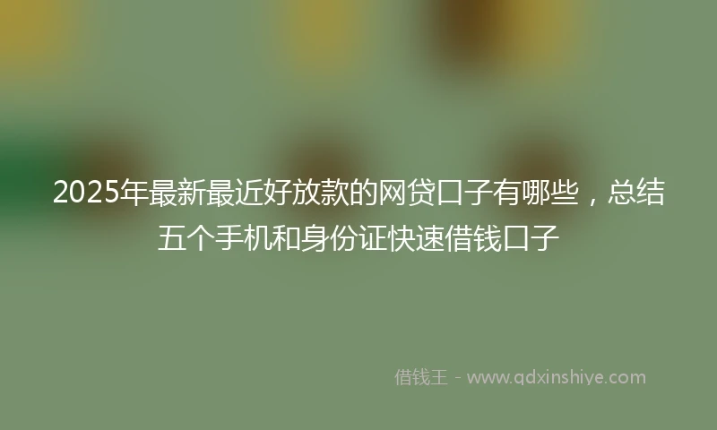 2025年最新最近好放款的网贷口子有哪些，总结五个手机和身份证快速借钱口子