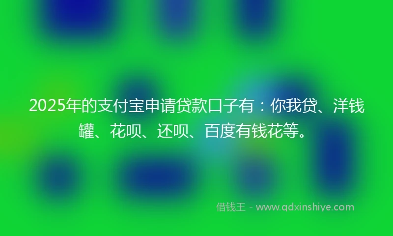 2025年的支付宝申请贷款口子有：你我贷、洋钱罐、花呗、还呗、百度有钱花等。