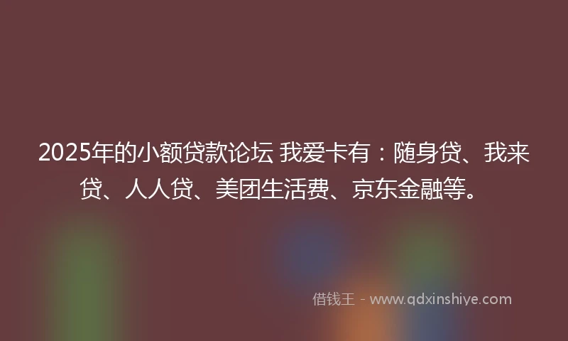 2025年的小额贷款论坛 我爱卡有：随身贷、我来贷、人人贷、美团生活费、京东金融等。