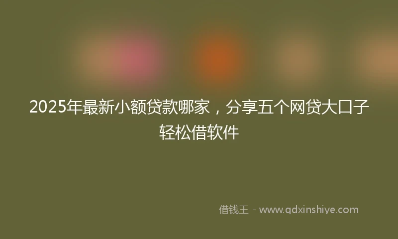 2025年最新小额贷款哪家,分享五个网贷大口子轻松借软件