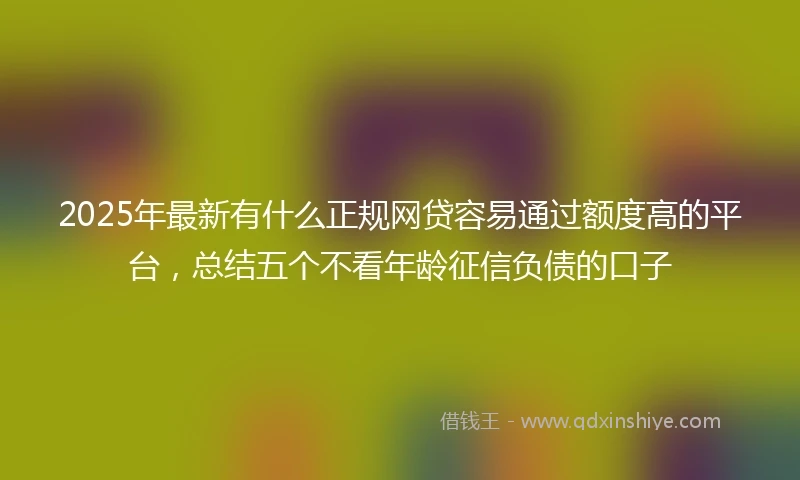 2025年最新有什么正规网贷容易通过额度高的平台，总结五个不看年龄征信负债的口子