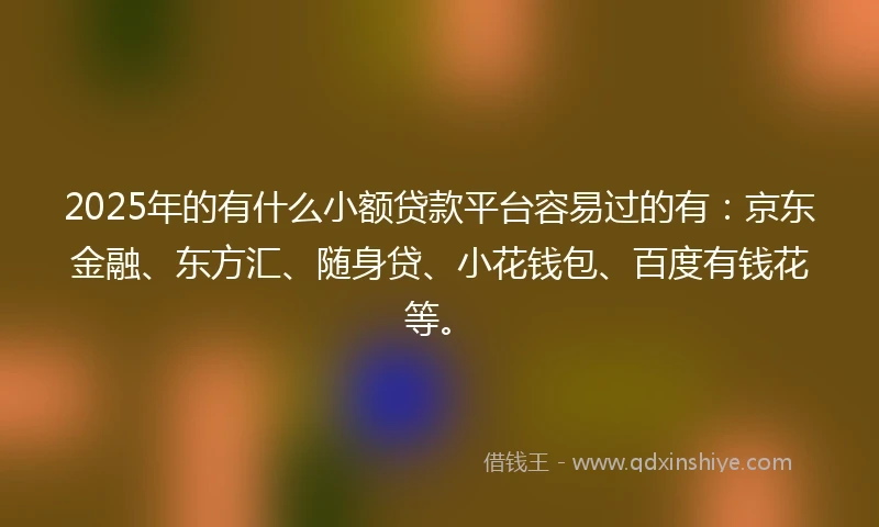 2025年的有什么小额贷款平台容易过的有：京东金融、东方汇、随身贷、小花钱包、百度有钱花等。