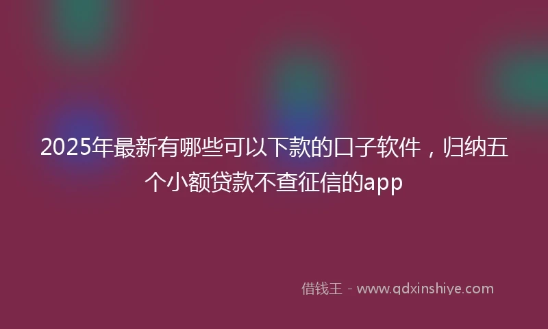 2025年最新有哪些可以下款的口子软件，归纳五个小额贷款不查征信的app