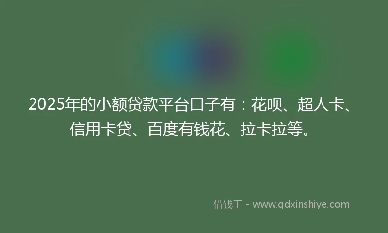 2025年的小额贷款平台口子有：花呗、超人卡、信用卡贷、百度有钱花、拉卡拉等。