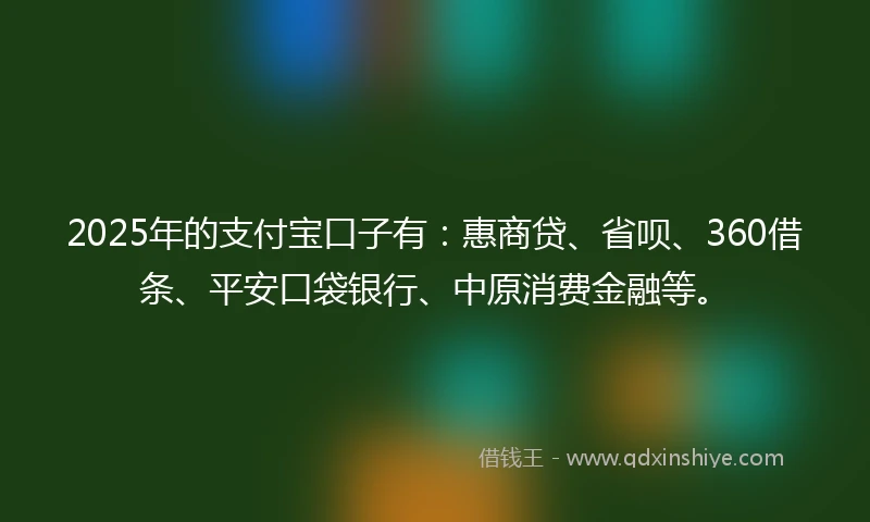 2025年的支付宝口子有：惠商贷、省呗、360借条、平安口袋银行、中原消费金融等。