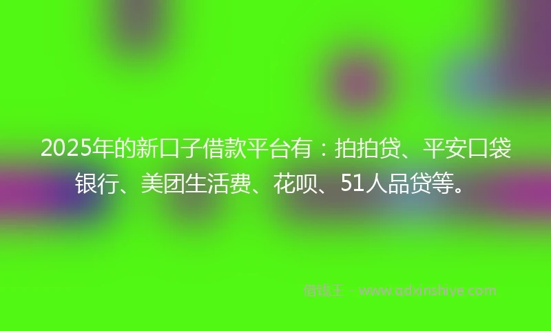 2025年的新口子借款平台有：拍拍贷、平安口袋银行、美团生活费、花呗、51人品贷等。