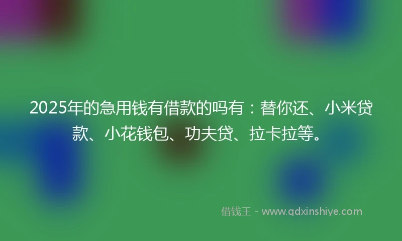 2025年的急用钱有借款的吗有：替你还、小米贷款、小花钱包、功夫贷、拉卡拉等。