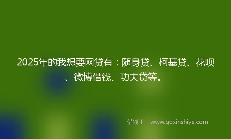 2025年的我想要网贷有：随身贷、柯基贷、花呗、微博借钱、功夫贷等。